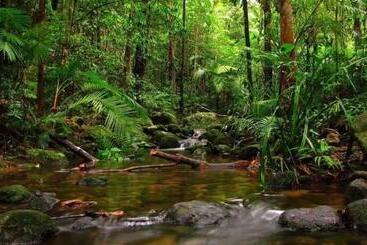 호텔 Kosgahadolaella Green Resort