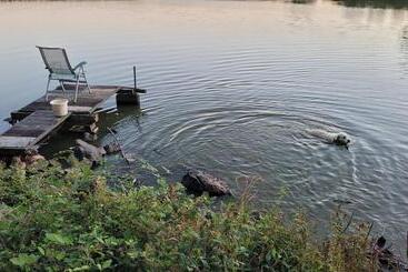 ベッドアンドブレックファースト Chateau Le Plessis