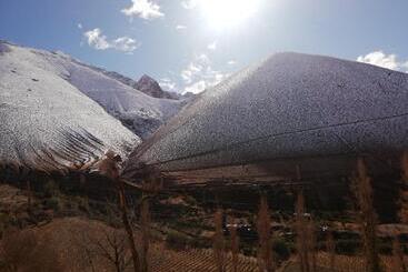 مبيت وإفطار Hostal Acuariano Piscoelqui