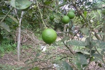 Отель Centro Vacacional Recreasana