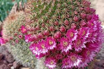 ペンション Finca Azuay   Bikers & Climbers Refuge