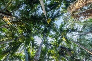 בית מלון כפרי Ll Empyrean Stay Ll Coconut Beach Farm Resort Ll