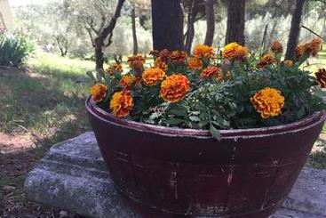 هتل B&b Sogno Verde