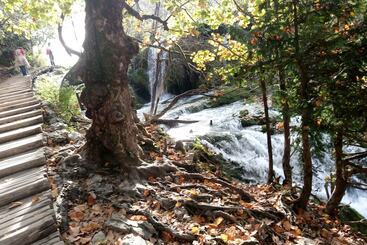 فندق House Jelena