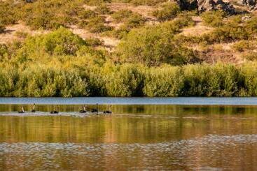 تختخواب و صبحانه About Thyme For Sleeps & Treats