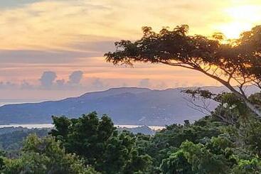 هتل Misbhaven Resort And Spa