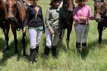 فندق Oaklands Farm Stay