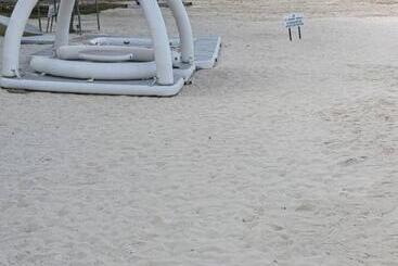 酒店 Pom Pom Celebes Beach Resort邦邦岛西里伯斯度假村