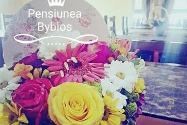 فندق صغير Pensiunea Byblos