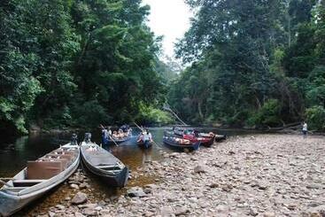 ペンション Canopy Inn