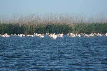 Пансион Casa Iustina Sulina