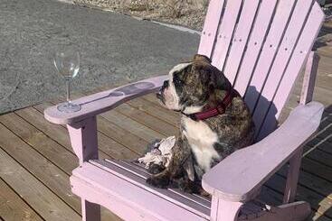 Strandbadsgården B&b