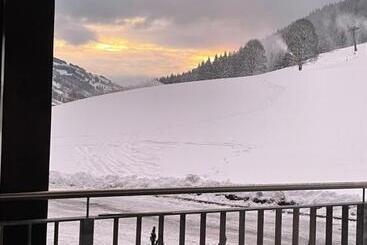 酒店 Pension Schattberg