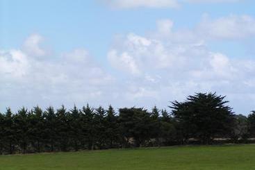 Karingal Homestead B&b