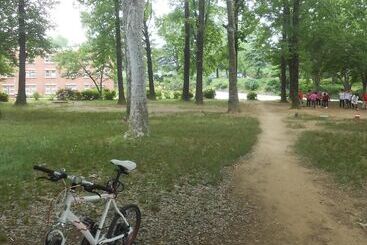 Pedro S House   Hostel