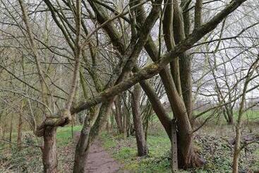 B&b 't Huys Van Enaeme