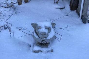 مبيت وإفطار The Artist Residence Dublin