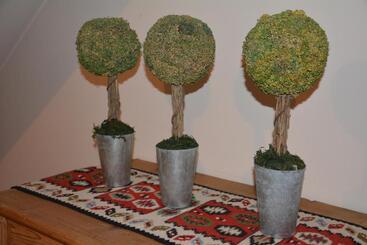 فندق Restaurant Fischer