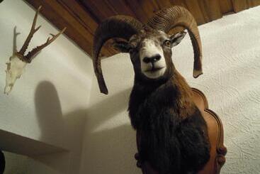 Bed and Breakfast Pension Herzoggut