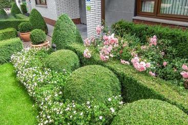 هتل Wilgenhof