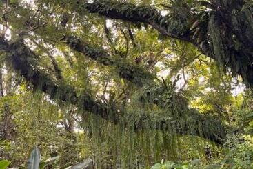 تختخواب و صبحانه Naveria Heights Lodge