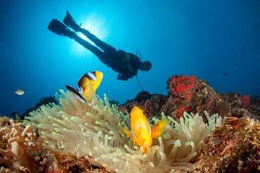 استراحتگاه Paradise Taveuni