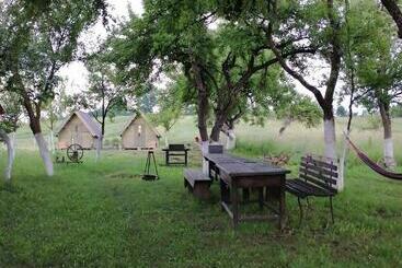 Bed and Breakfast Pensiune Rozalia   Camping