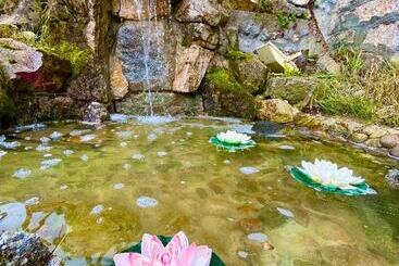 فندق Forest Star On The Ski Slope