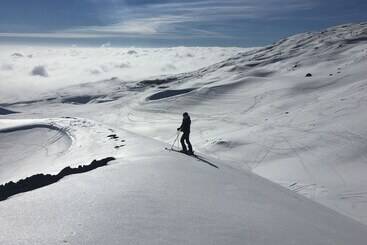住宿加早餐 Domus Verdiana