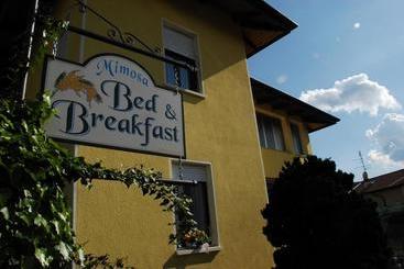 B&b Mimosa