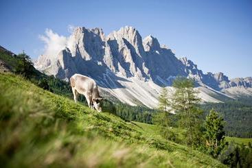 تختخواب و صبحانه Raschötzhof