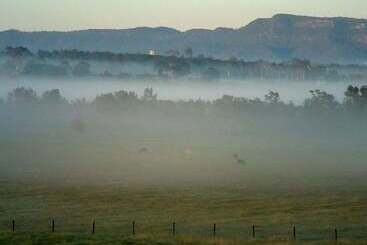 מוטל Adina Vineyard
