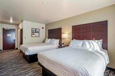 Cobblestone Hotel & Suites   Rhinelander