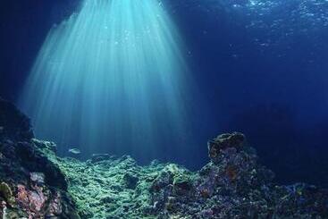 בית מלון כפרי Seaside Sanctuary Bungalows