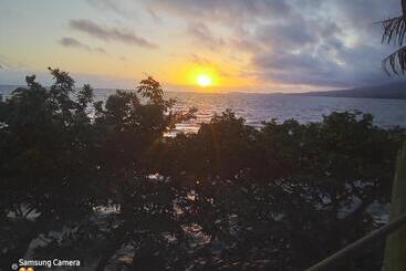 ペンション Cocibolca House B&b