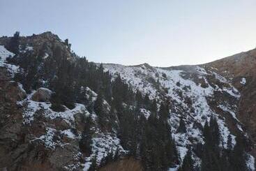 پانسیون Nasypbeketno