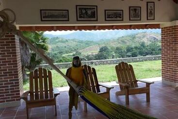 פנסיון Villa Mipa