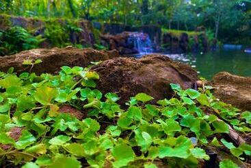 Пансион Mist Of Sinharaja Eco Lodge