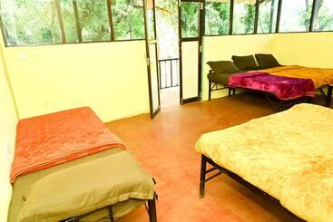 Отель Jungle Adventure Homestay