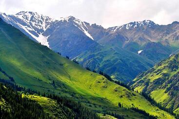 پانسیون Mikasa Guest House