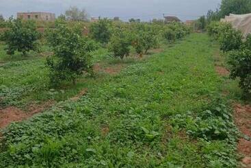 ریاض Dar Limoune