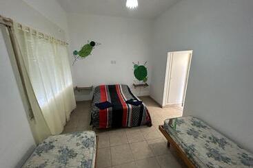 Nuevo Hotel Mitre 83