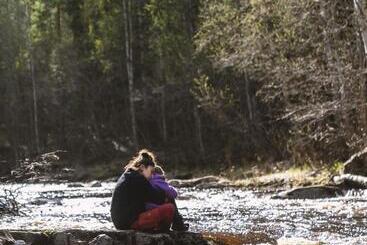 פנסיון Cabin By Byske River Surrounded By The Forest