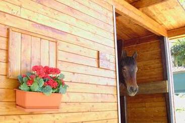 צימר Agriturismo Poggio Del Drago