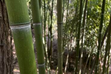 مبيت وإفطار Agriturismo Rio Verde