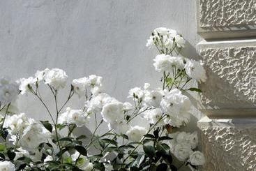 تختخواب و صبحانه Villa Barberina