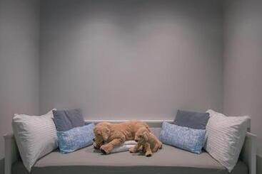 هاستل Bluewaters Collab Quarters