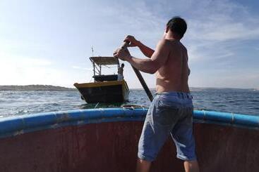 ホテル New Wave Homestay