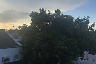 The Purple Tree Bed & Breakfast