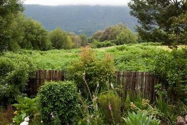 ベッドアンドブレックファースト Andelomi Forest Lodge